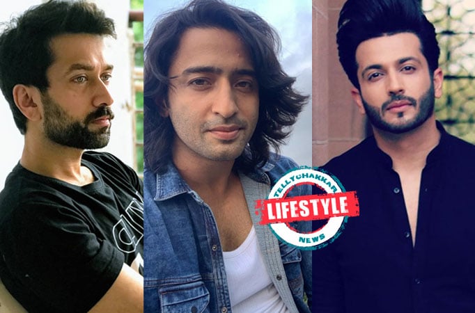 Nakuul Mehta, Shaheer Sheikh, and Dheeraj Dhoopar explore THESE trends in sunglasses  