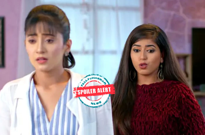 Yeh Rishta Kya Kehlata Hai: Naira fights against Goenkas for Lisa's rights