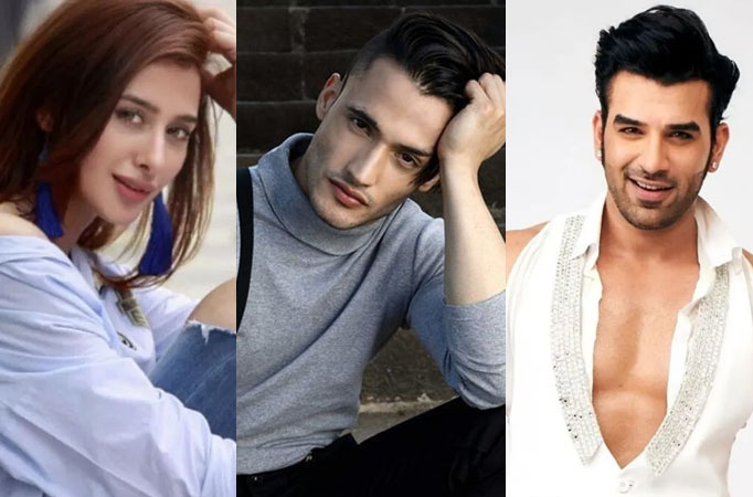 Mahira Sharma is the main reason why Asim Riaz and Paras Chhabra had a fight