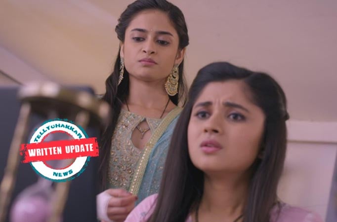 Guddan Tumse Na Ho Payega: Revati enjoys when Guddan suffers a lot due to allergy