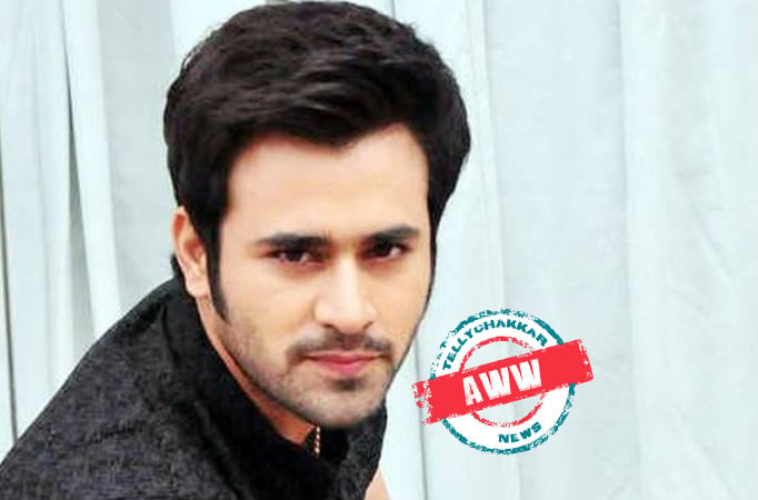 Pearl V Puri CONFESSES being in LOVE