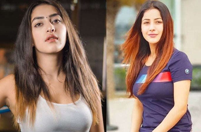 Bigg Boss 13: Punjabi actress Divya Sharma calls Shehnaaz Gill 'fake'