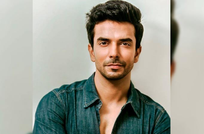 Naagin 4: Manit Joura no longer a part of the show; this actor joins the team 