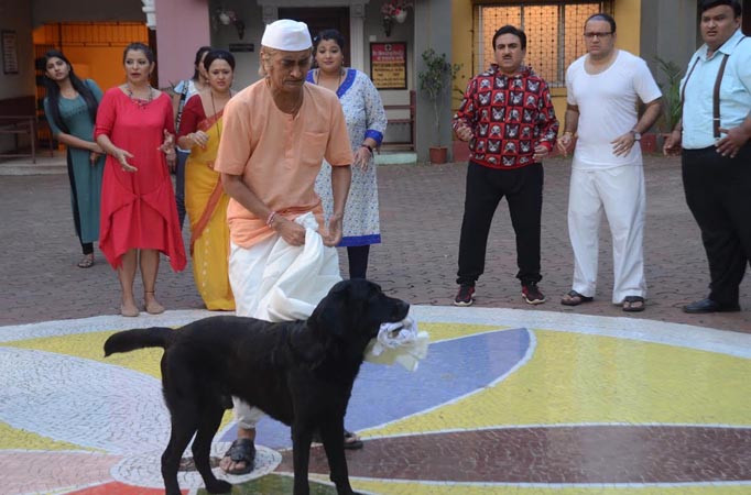 Dog chases Bapuji & Jethalal in Taarak Mehta Ka Ooltah Chashmah 