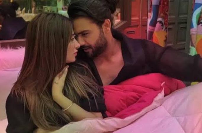 Bigg Boss 13: Mahira Sharma and Vishal Aditya Singh’s spat 