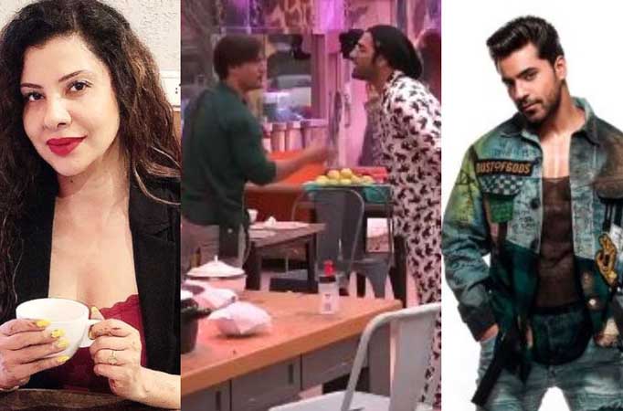 Bigg Boss 13: Sambhavna Seth and Gautam Gulati’s take on Asim Riaz and Paras Chhabra's FIGHT   