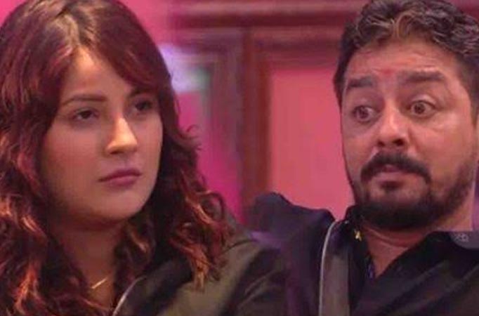 Bigg Boss 13: Shehnaaz Gill and Hindustani Bhau have a showdown