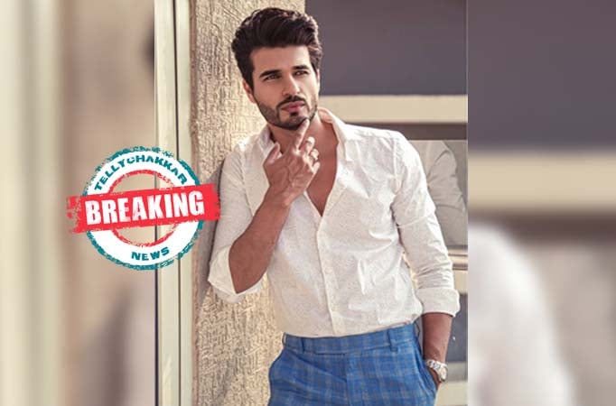 Naagin 3 fame Puneett Chouksey to play the male lead in Colors’ Naati Pinky Ki Lambi Love Story