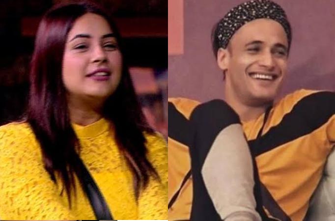 Bigg Boss 13: Shehnaaz mocks Asim's sexuality