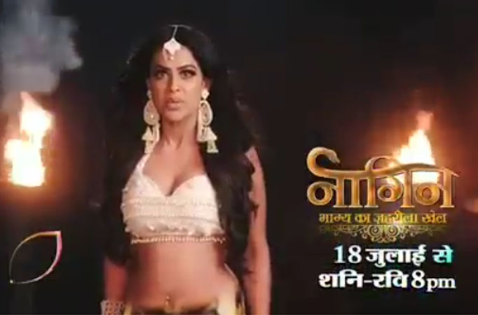 Naagin 4