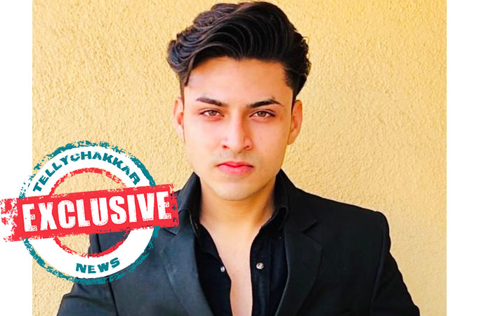 EXCLUSIVE! Shushant Singh bags Star Plus' Yeh Hai Chahtein