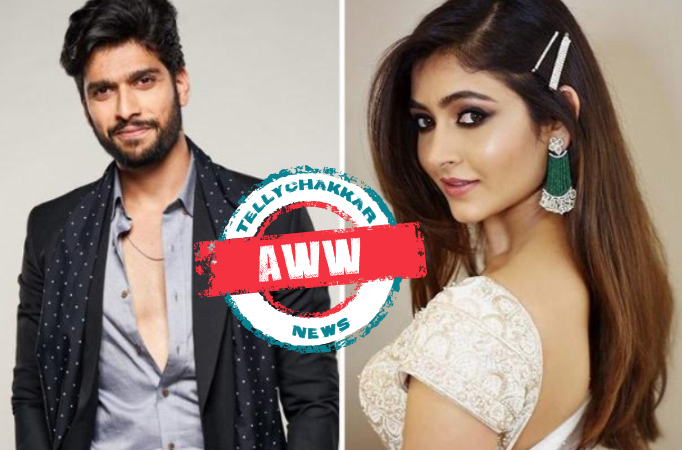 AWW! Sai Ketan Rao aka Raghav can't stop himself from calling co-star Shivangi Khedkar aka Pallavi 'SAREE KA DUKAN'; here's why Mehndi Hai Rachne Wali