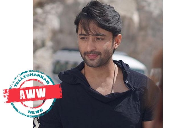 Shaheer Sheikh