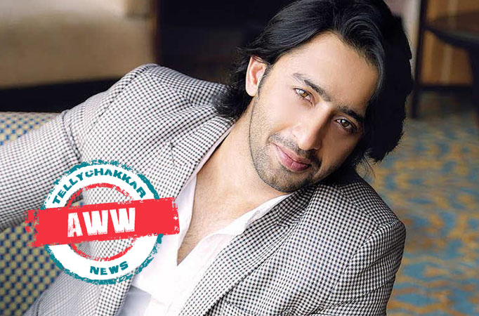 Shaheer Sheikh