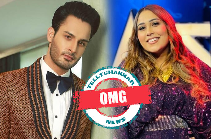 Bigg Boss 15: OMG! Umar Riaz demolishes Afsana Khan when she says, "Tu doctory kar"; takes a stand for doctors 