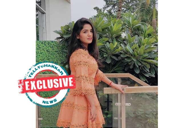 EXCLUSIVE! Diksha Tiwari opens up on Barrister Babu going off-air, says, she was shocked as it was unexpected, shares about her 