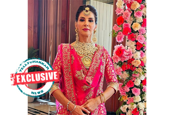 EXCLUSIVE! 'I am excited to work with Seher', Kulwant Kaur aka Anita Raaj on returning to Choti Sarrdaarni