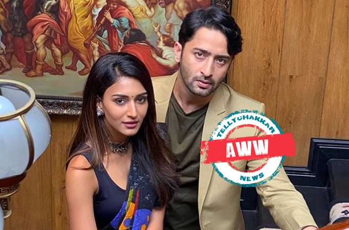 Shaheer Sheikh and Erica Fernandes