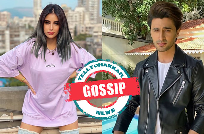 GOSSIP! Bigg Boss 15 fame Miesha Iyer and Ieshaan Sehgaal FINALLY reveal they are dating, the latter also opens up on his MARRIA