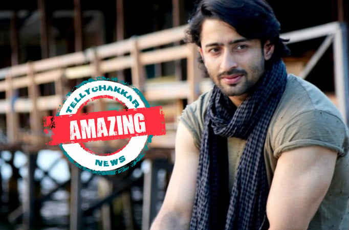 Shaheer Sheikh-amezing