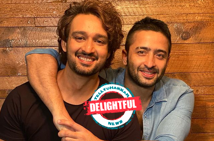 DELIGHTFUL! After Mahabharat Shaheer Sheikh and Saurabh Raj Jain reunite and how!