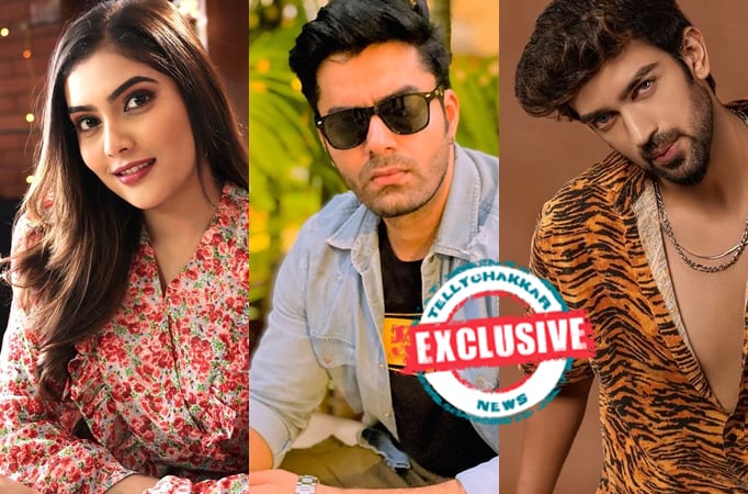 EXCLUSIVE! Priyanka Dhavale, Himanshu Bamzai and Manasvi Vashist OPEN UP on their Christmas Memories 