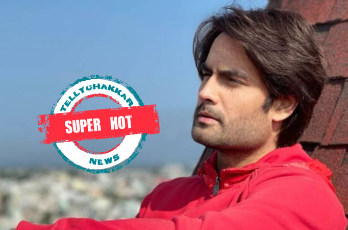 Vivian Dsena-hoit