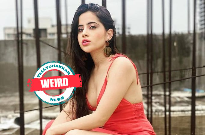 Weird! Bigg Boss OTT contestant Urfi Javed and All her Bizzare looks! CHECK OUT THE PICTURES!