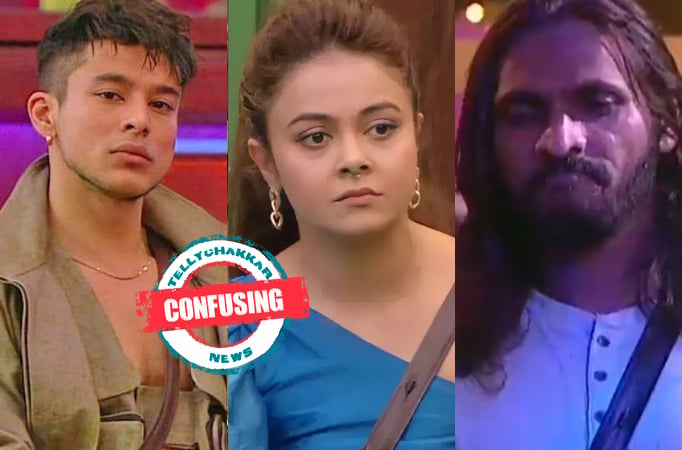 Pratik Sehajpal questions Devoleena Bhattacharjee’s equations with Abhijeet Bichukale; says it is ‘CONFUSING’