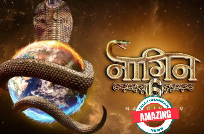 Amazing! Naagin 6 promo out; new naagin to wage a war against coronavirus?