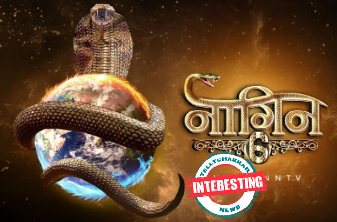  Naagin 6