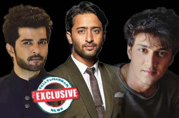 EXCLUSIVE! Rajan Shahi's new show on Star Bharat to be inspired by this superhit film 