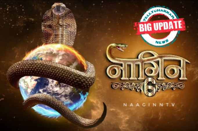 Naagin 6