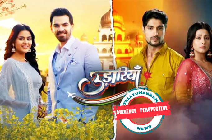 AUDIENCE PERSPECTIVE! Viewers analyse what went wrong for Colors' Udaariyaan 
