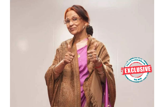 EXCLUSIVE! Joyoshree Arora opens up on her upcoming show Sab Satrangi, shares about her bond with Mohit Kumar and much more 