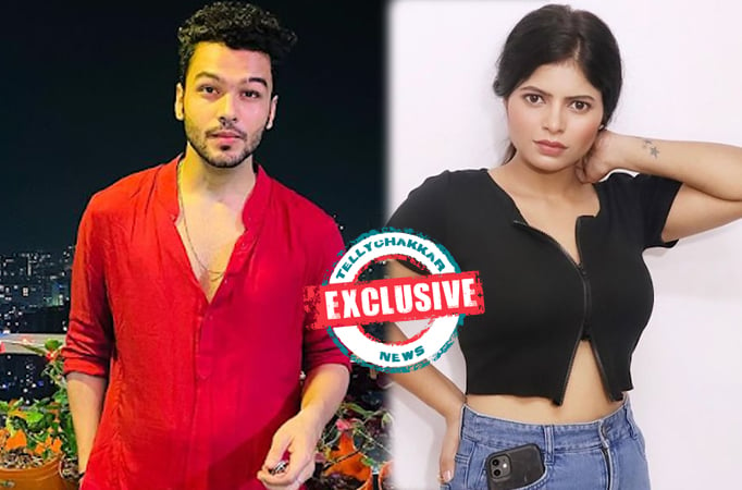 EXCLUSIVE! Annsh Pandey and Golo Morea have been roped in for Shashi Sumeet's Untitled Star Plus project!