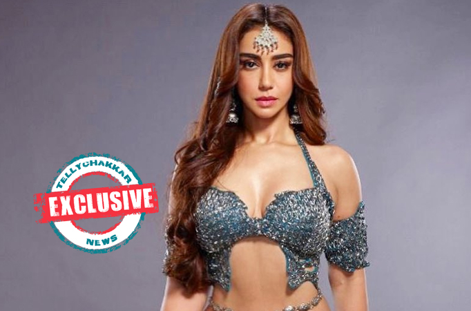 EXCLUSIVE! Meheck Chahal on her comeback with Naagin 6:  It is kind of my birth on the TV when it comes to fiction as it is one 