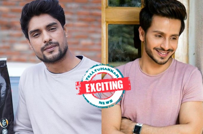 EXCITING! Ankit Gupta gives an interesting advice to Param Singh on the viral trends on Instagram