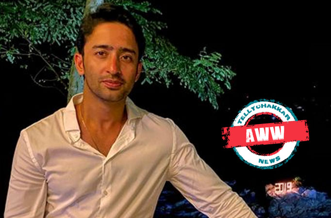 Shaheer Sheikh