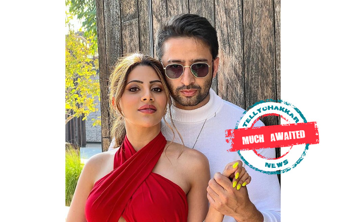 Much Awaited! Shaheer Sheikh and Nikki Tamboli to treat their fans with their upcoming project together