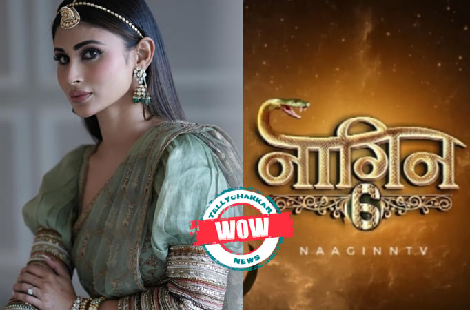 Wow! Naagin 6: Mouni Roy is back in Naagin and her first look is here! Find out more!