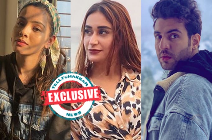 EXCLUSIVE! Richa Rathore and Alisha Khan SHORTLISTED opposite Zebby Singh in Shaika Films next on Colors 