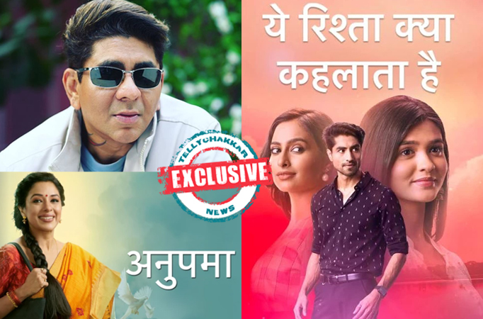 EXCLUSIVE! Rajan Shahi's Anupamaa and Yeh Rishta Kya Kehlata Hai families to come together for this special occasion 