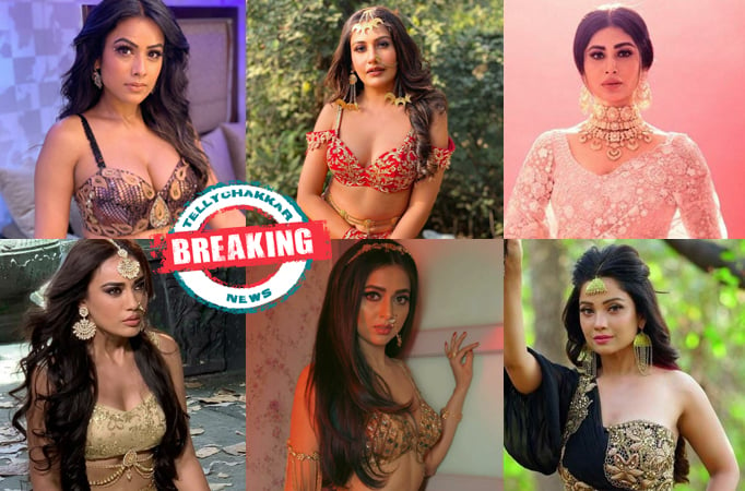 BREAKING! All Naagins to join for the Naagin 6 AMRIT MANTHAN says, Director Ranjan Kumar