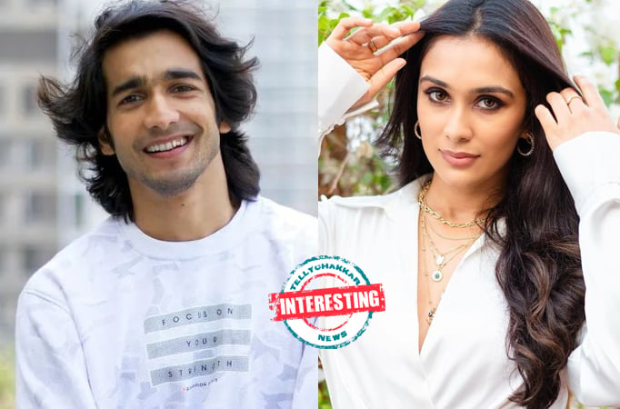 Interesting! Shantanu Maheshwari messages his ex, Nityaami Shirke, on social media; read on for details