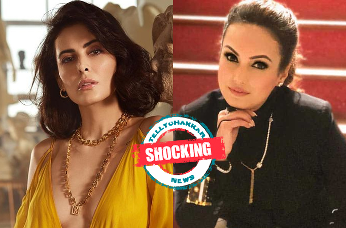 SHOCKING! From Mandana Karimi to Nisha Rawal, TV celebrities reveals about being cheated by their partners 