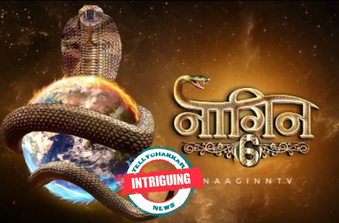 INTRIGUING! Meet the most professional star of Naagin 6 