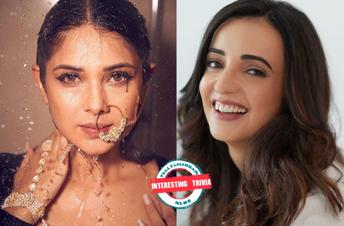 Interesting Trivia! From Jennifer Winget to Sanaya Irani Celebrities who are not active on social media, Deet inside 