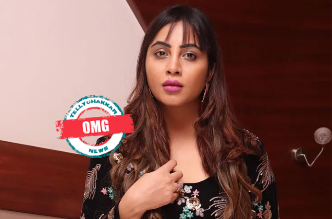 OMG! Bigg Boss fame Arshi Khan suffers injuries during wrestling practice