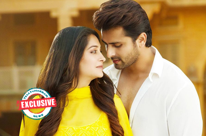 Exclusive! Shoaib Ibrahim and Dipika Kakkar talk about their expectations from the new concept of vlogs on TV